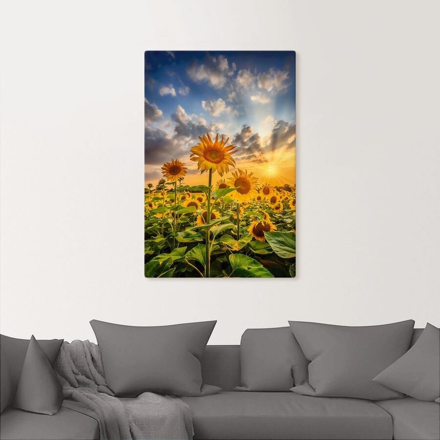Artland Artprint Zonnebloemen in de zonsondergang als artprint op linnen poster in verschillende formaten maten - Foto 3