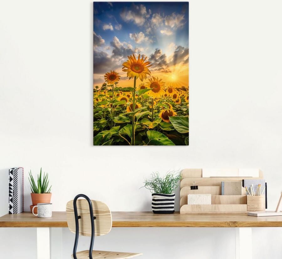 Artland Artprint Zonnebloemen in de zonsondergang als artprint op linnen poster in verschillende formaten maten - Foto 8