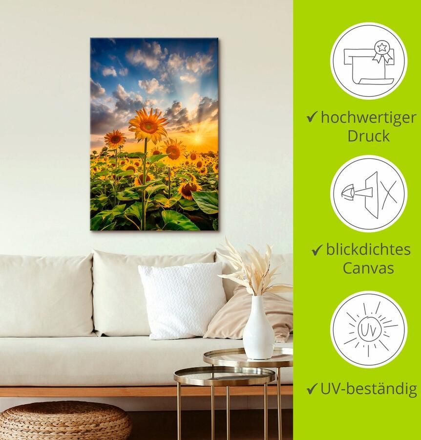 Artland Artprint Zonnebloemen in de zonsondergang als artprint op linnen poster in verschillende formaten maten - Foto 6