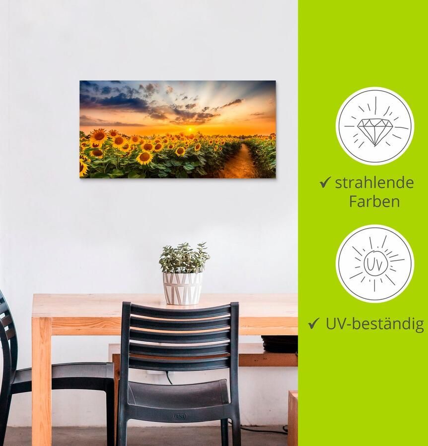 Artland Artprint Zonnebloemenveld bij zonsondergang als artprint van aluminium artprint voor buiten artprint op linnen poster in verschillende maten. maten - Foto 4