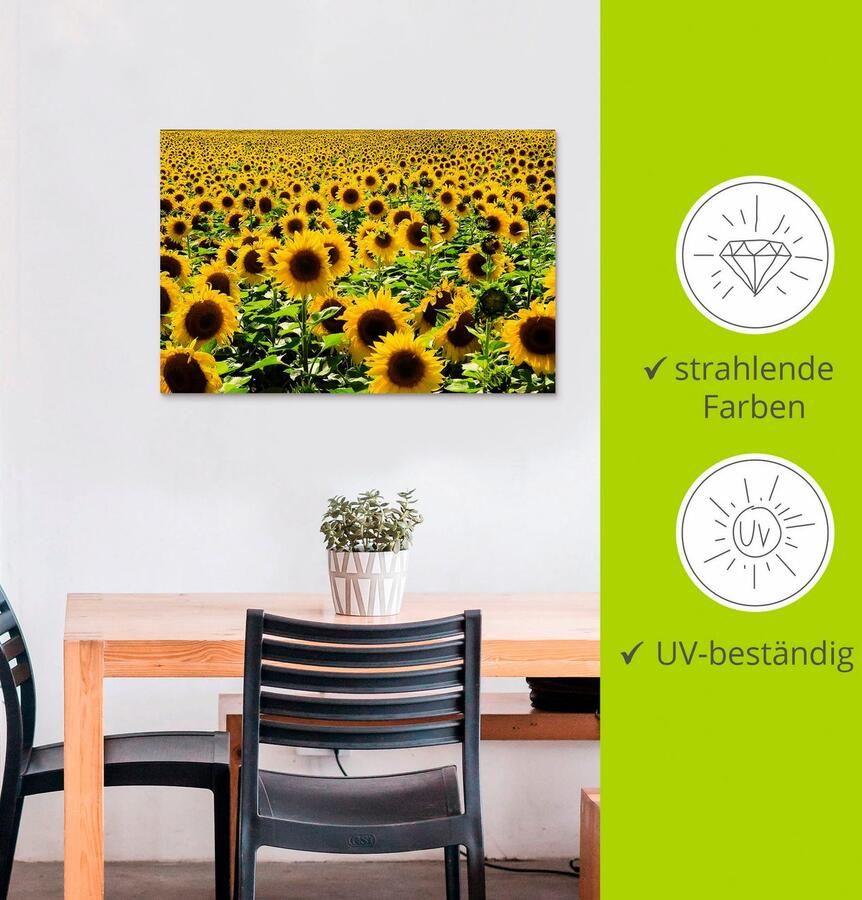 Artland Artprint Zonnebloemveld als artprint van aluminium artprint voor buiten artprint op linnen poster in verschillende maten. maten - Foto 2