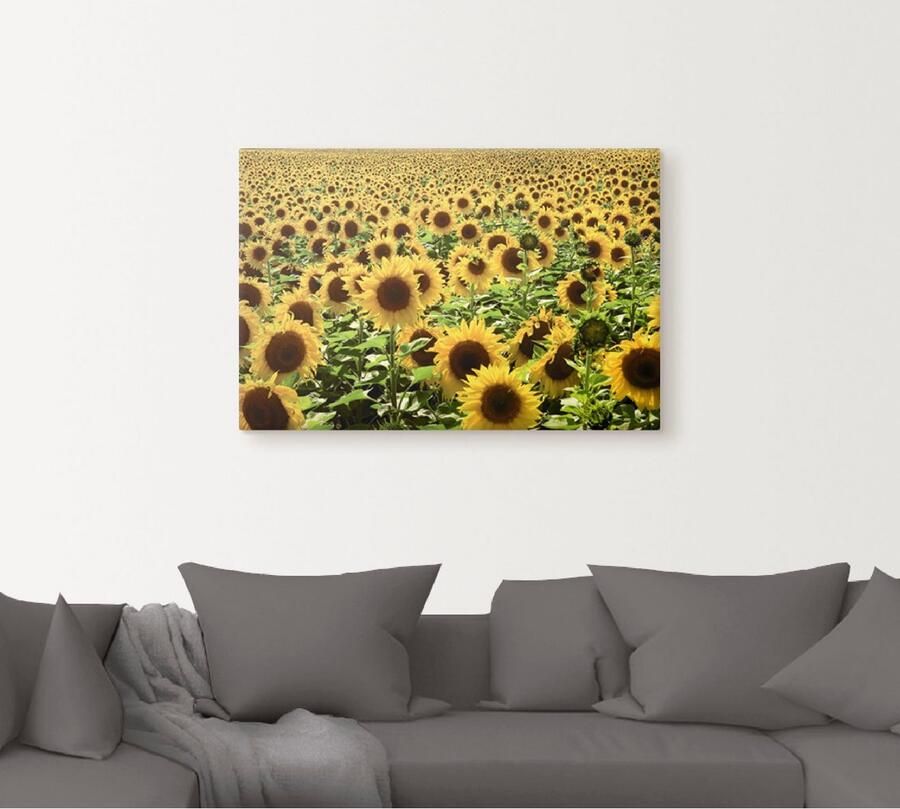 Artland Artprint Zonnebloemveld als artprint van aluminium artprint voor buiten artprint op linnen poster in verschillende maten. maten - Foto 4