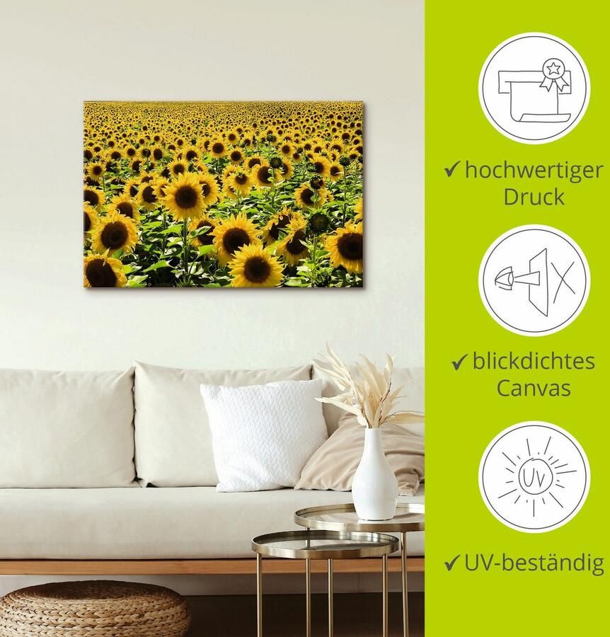 Artland Artprint Zonnebloemveld als artprint van aluminium artprint voor buiten artprint op linnen poster in verschillende maten. maten - Foto 2