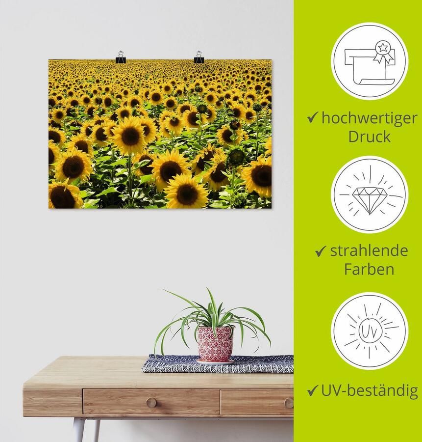 Artland Artprint Zonnebloemveld als artprint van aluminium artprint voor buiten artprint op linnen poster in verschillende maten. maten - Foto 4