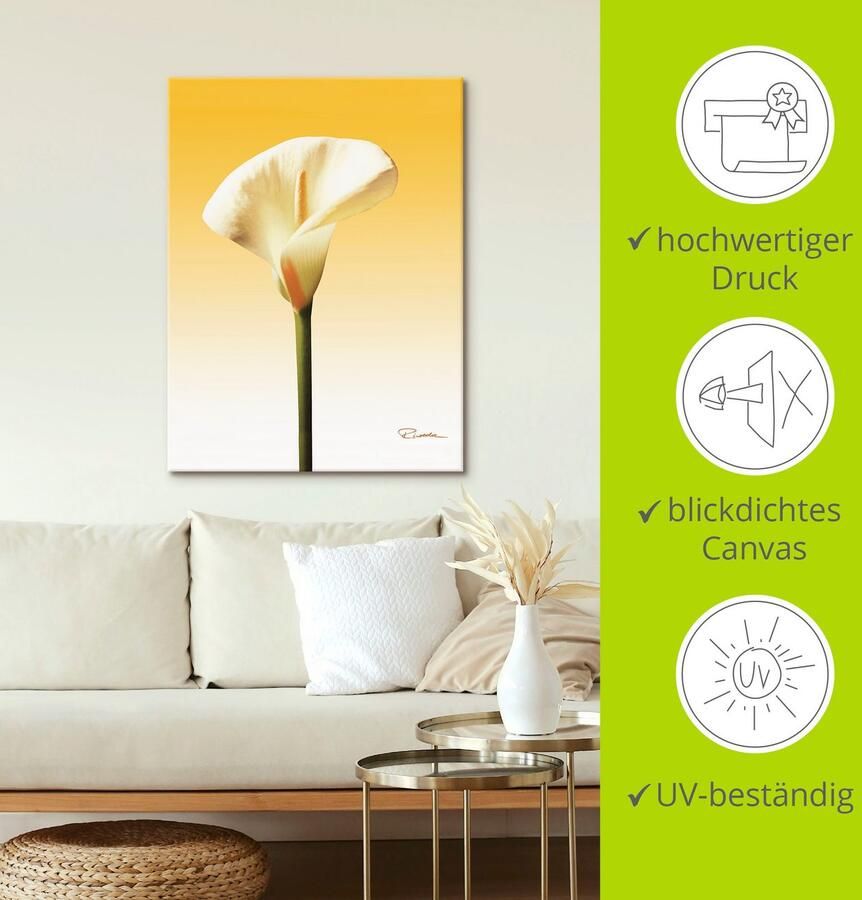 Artland Artprint Zonneschijn calla II als artprint op linnen poster in verschillende formaten maten - Foto 3