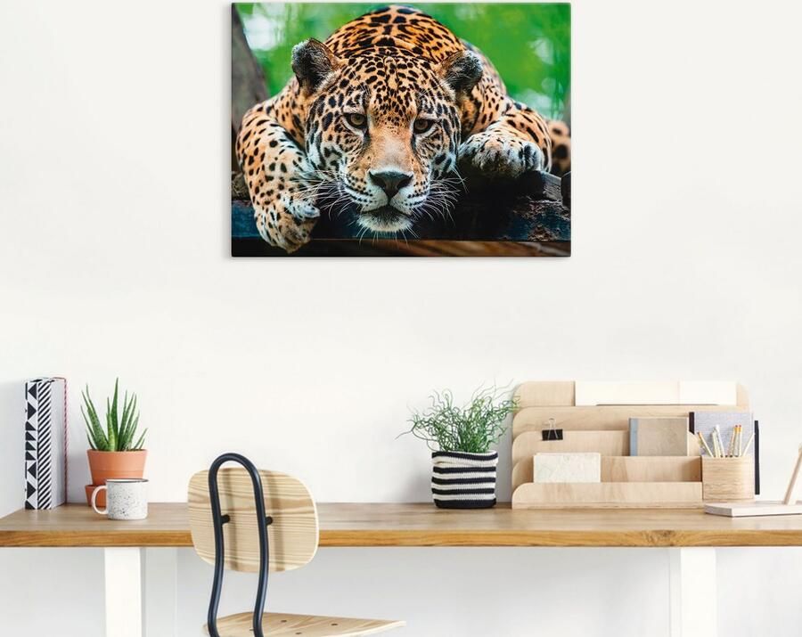 Artland Artprint op linnen Zuid-Amerikaanse jaguar - Foto 6