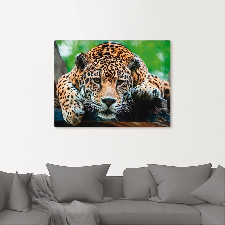 Artland Artprint op linnen Zuid-Amerikaanse jaguar - Foto 2