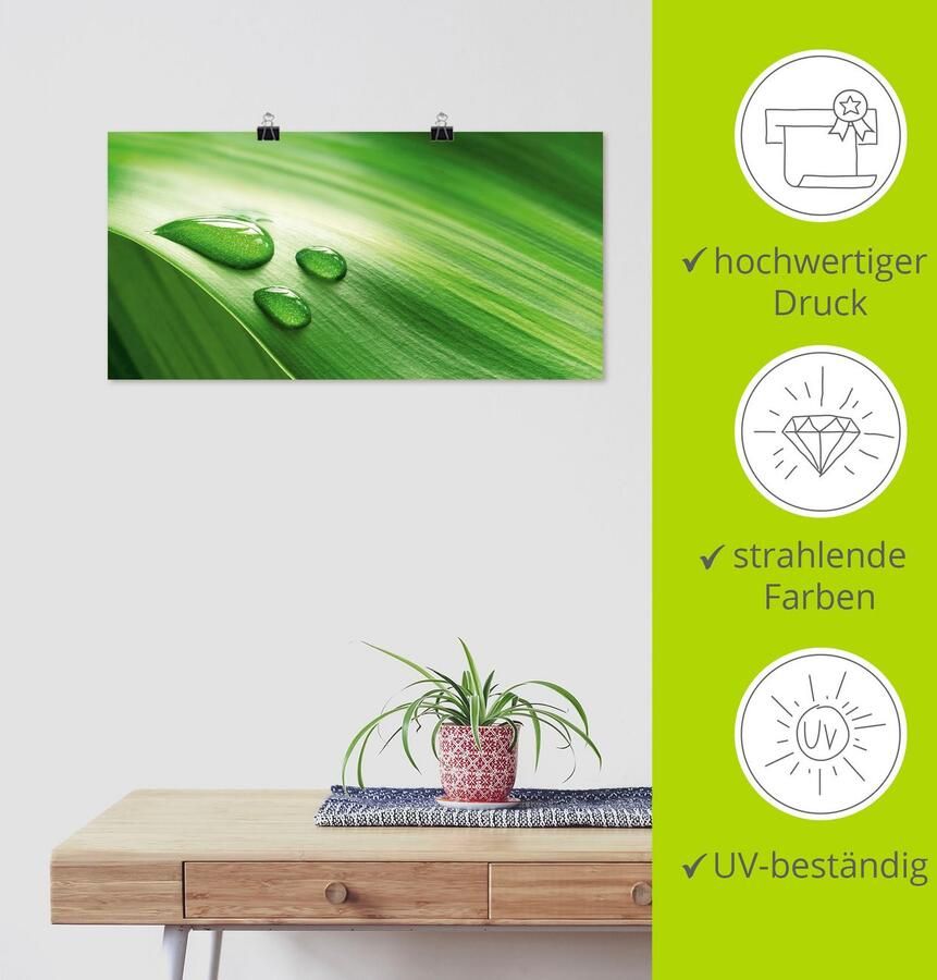 Artland Poster Close-up van een groen plantenblad als artprint op linnen muursticker of poster in verschillende maten - Foto 5