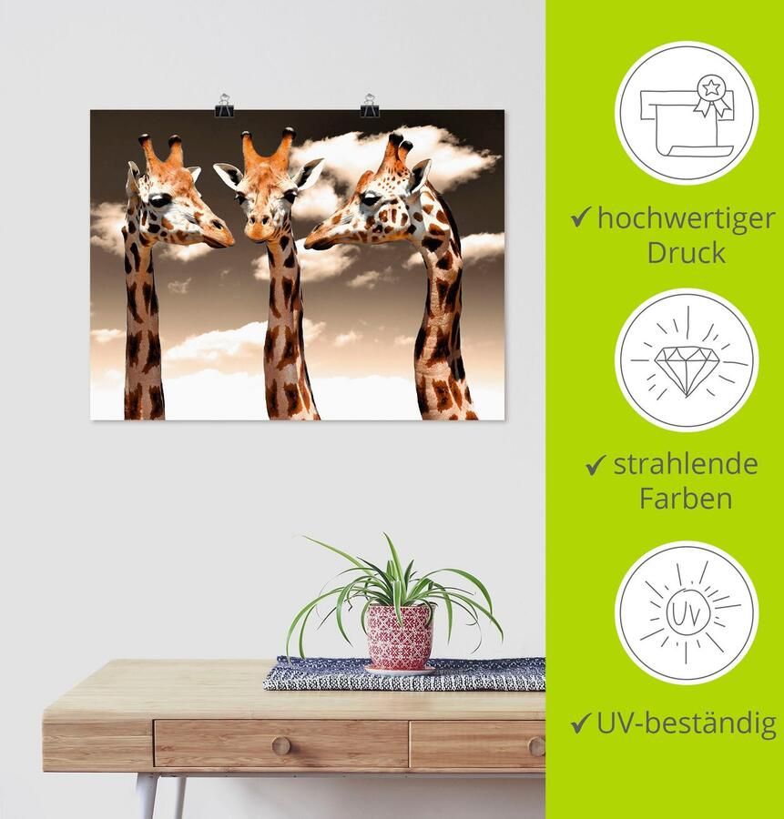 Artland Poster Giraffe_sepia als artprint van aluminium artprint op linnen muursticker of poster in verschillende maten - Foto 3
