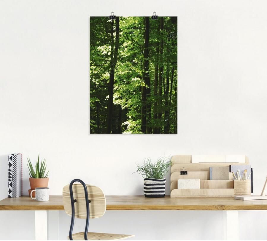 Artland Poster In het beukenbos als artprint van aluminium artprint op linnen muursticker of poster in verschillende maten - Foto 4