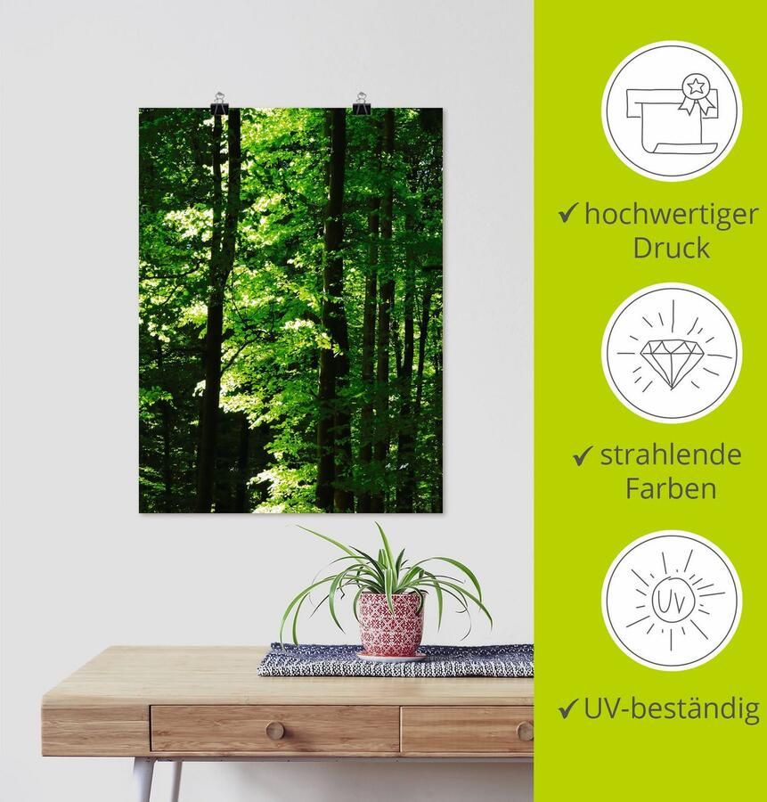 Artland Poster In het beukenbos als artprint van aluminium artprint op linnen muursticker of poster in verschillende maten - Foto 3