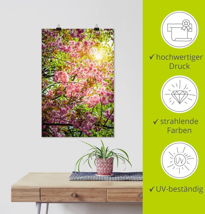 Artland Poster Japanse kersenbloesem als artprint van aluminium artprint op linnen muursticker of poster in verschillende maten - Foto 2