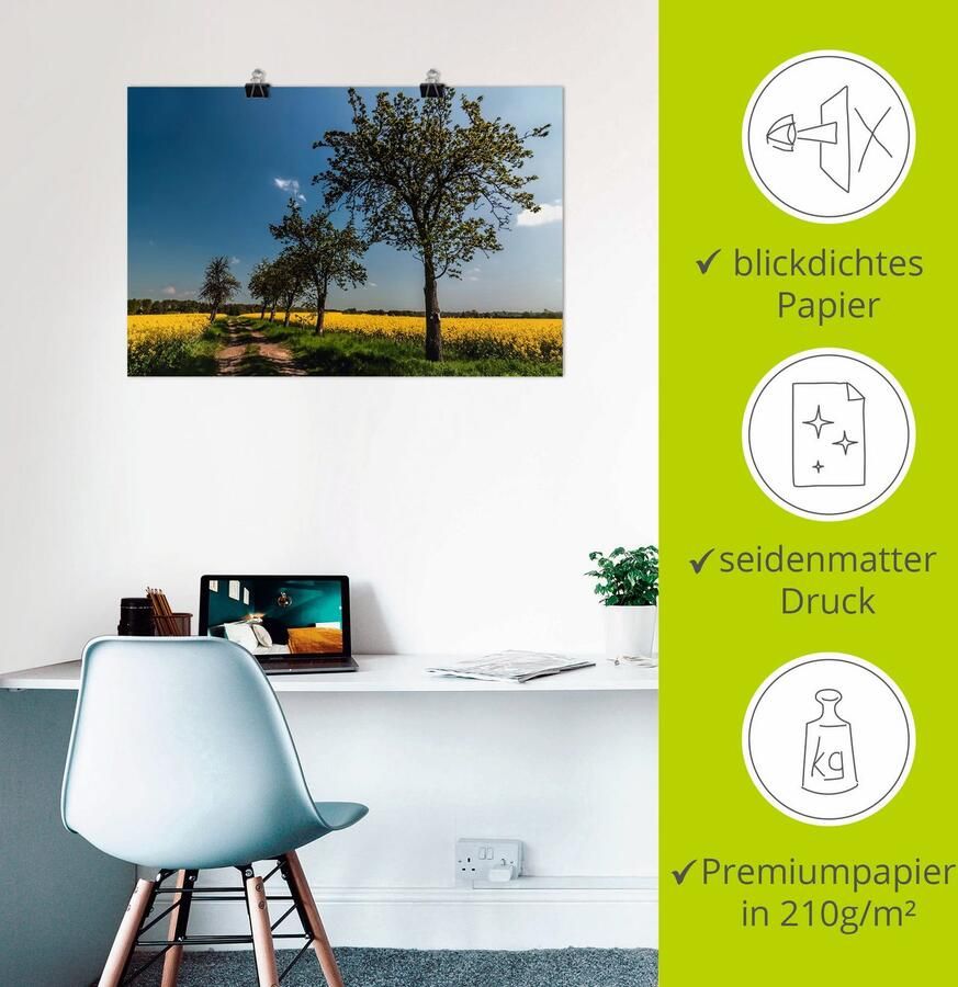 Artland Poster Knollenland II als artprint van aluminium artprint op linnen muursticker of poster in verschillende maten - Foto 2