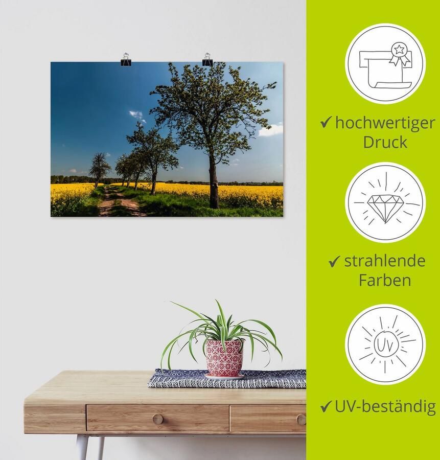 Artland Poster Knollenland II als artprint van aluminium artprint op linnen muursticker of poster in verschillende maten - Foto 3