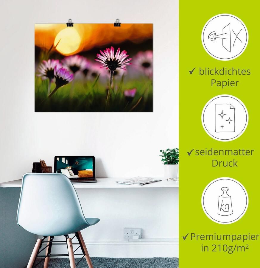 Artland Poster Madeliefje bij zonsondergang als artprint van aluminium artprint op linnen muursticker of poster in verschillende maten - Foto 2