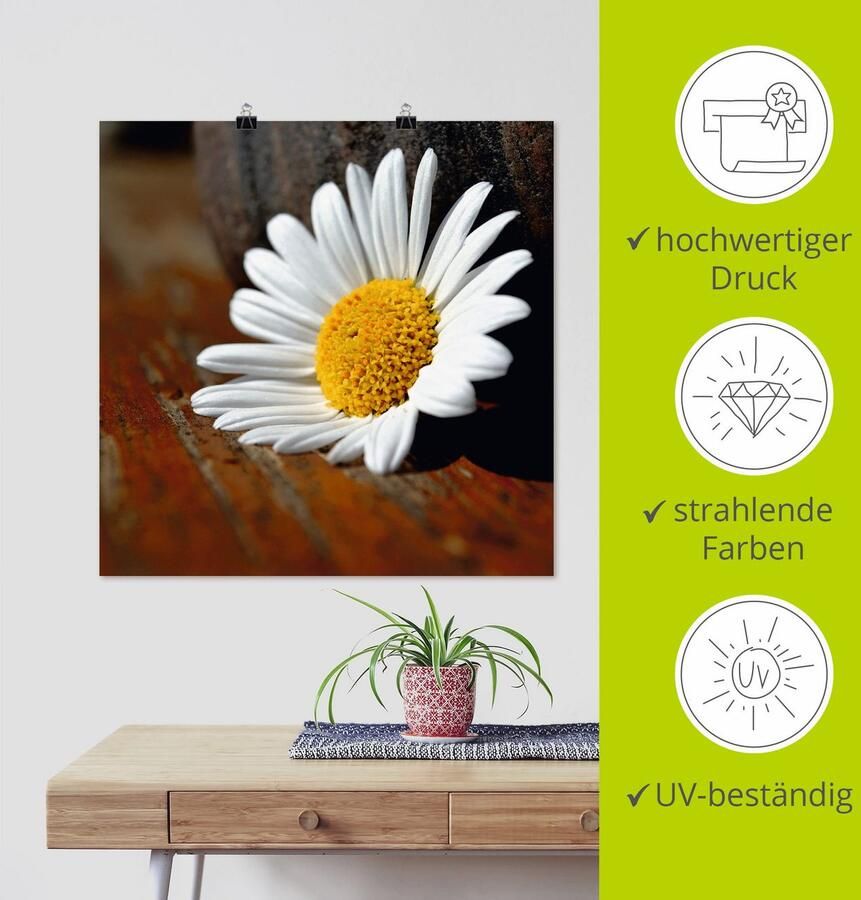 Artland Poster Margrieten stilleven als artprint op linnen muursticker of poster in verschillende maten - Foto 2