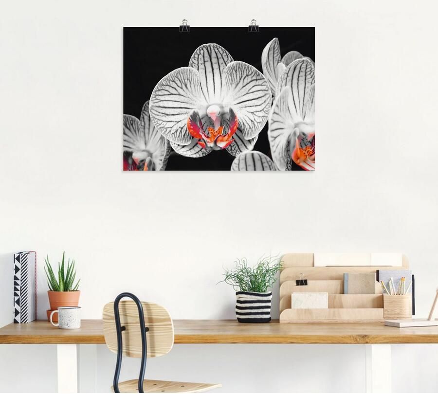 Artland Poster Orchidee abstracte collage IV als artprint op linnen muursticker of poster in verschillende maten - Foto 6