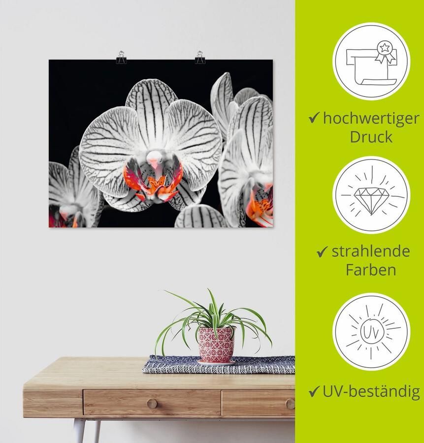 Artland Poster Orchidee abstracte collage IV als artprint op linnen muursticker of poster in verschillende maten - Foto 4