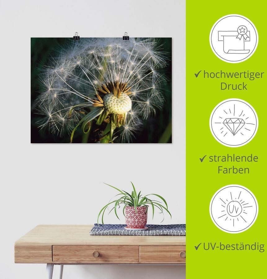 Artland Poster Pluizenbol als artprint van aluminium artprint op linnen muursticker of poster in verschillende maten - Foto 3