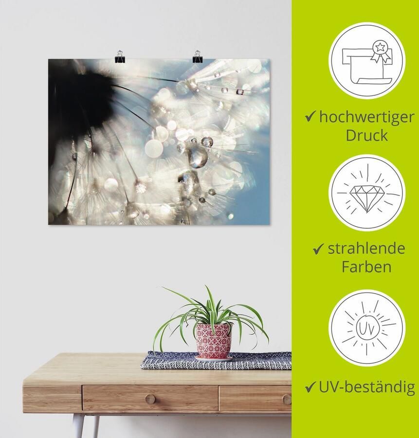 Artland Poster Pluizenbol engelenvleugel als artprint van aluminium artprint op linnen muursticker of poster in verschillende maten - Foto 3