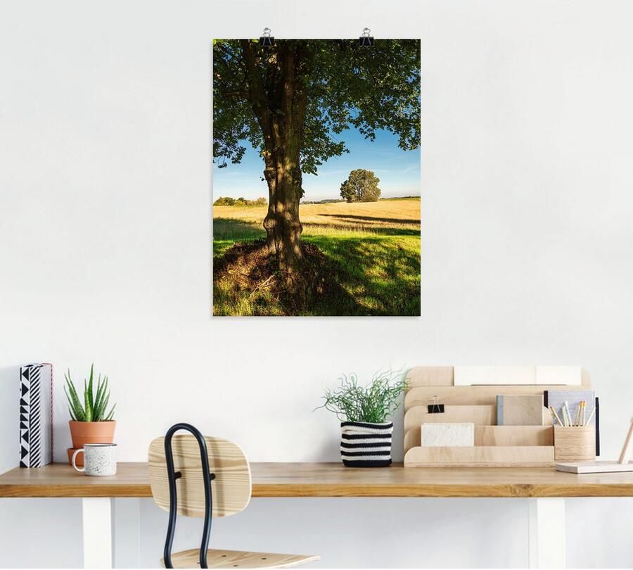 Artland Poster Veld en bomen bij Hohen Demzin als artprint van aluminium artprint op linnen muursticker of poster in verschillende maten - Foto 4