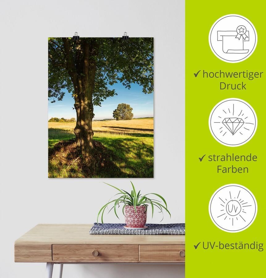 Artland Poster Veld en bomen bij Hohen Demzin als artprint van aluminium artprint op linnen muursticker of poster in verschillende maten - Foto 3