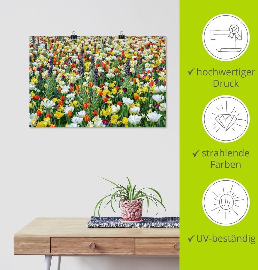 Artland Poster Veld van verschillende lentebloemen als artprint van aluminium artprint op linnen muursticker of poster in verschillende maten - Foto 2
