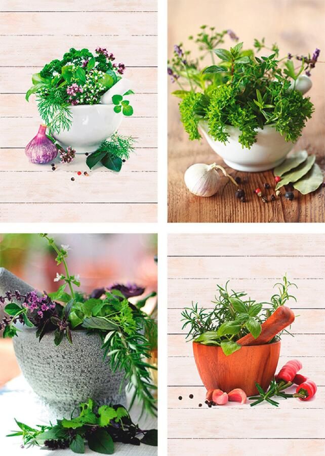 Artland Poster Verse kruiden en specerijen Poster artprint wandposter (4 stuks) - Foto 2