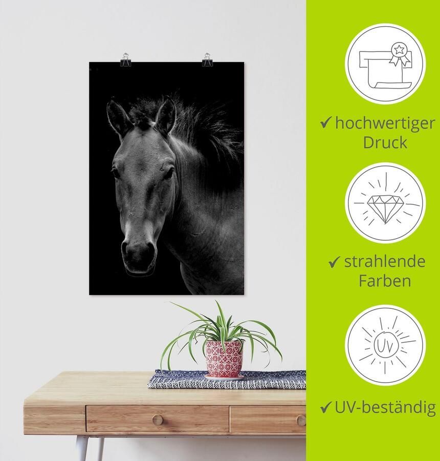 Artland Poster Wild paard als artprint van aluminium artprint op linnen muursticker of poster in verschillende maten - Foto 3