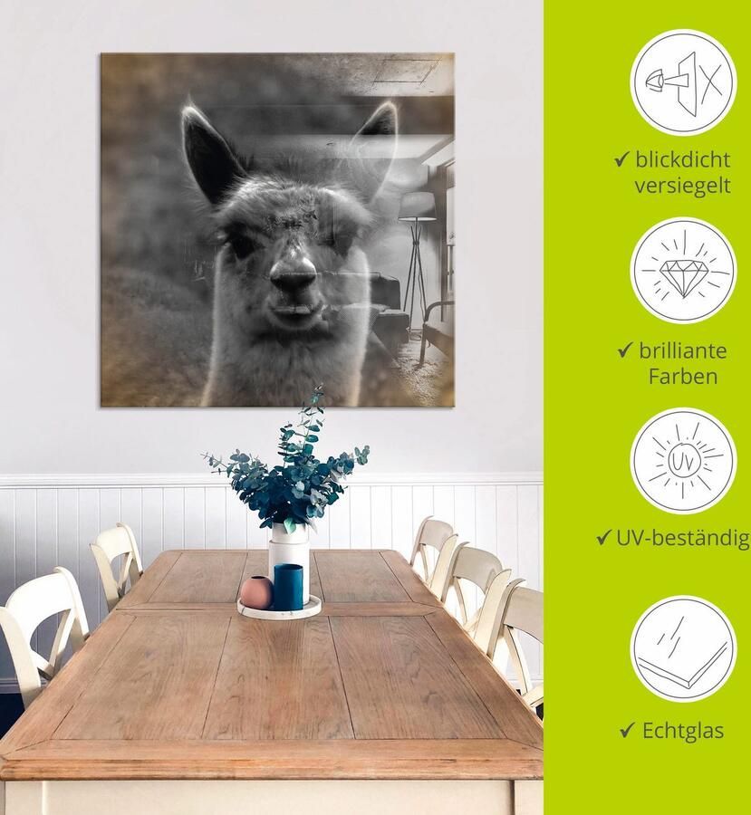 Artland Print op glas Alpaca blik in verschillende maten - Foto 4
