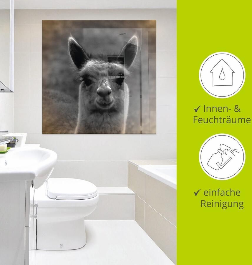 Artland Print op glas Alpaca blik in verschillende maten - Foto 3