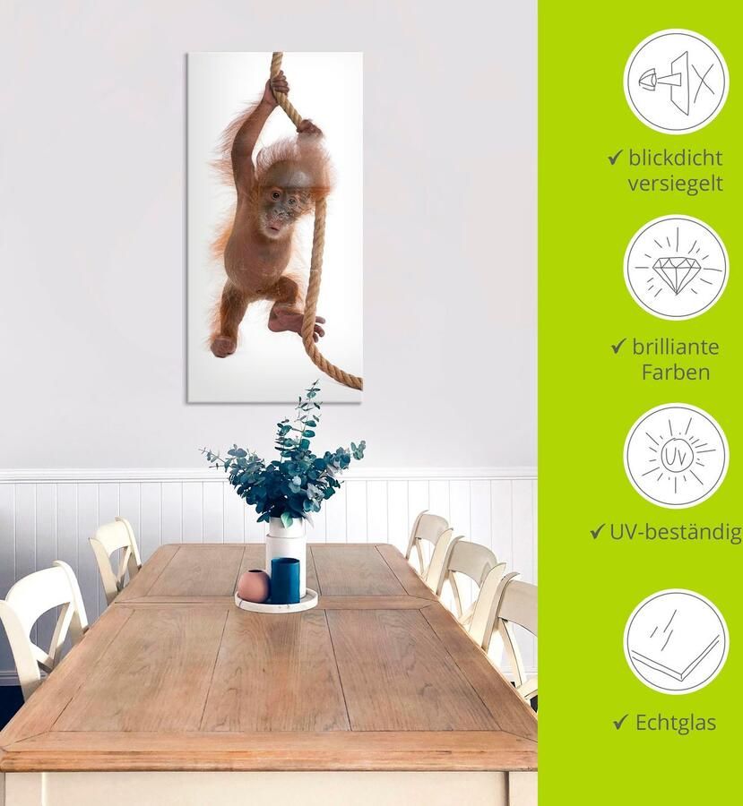 Artland Print op glas Baby orang oetan hangt aan het touw I - Foto 3