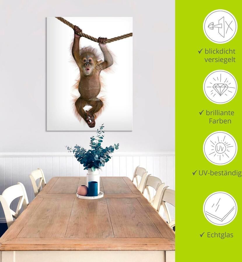 Artland Print op glas Baby orang oetan hangt aan het touw II - Foto 3