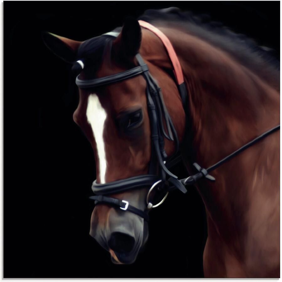 Artland Print op glas Dressuur paard in verschillende maten - Foto 5