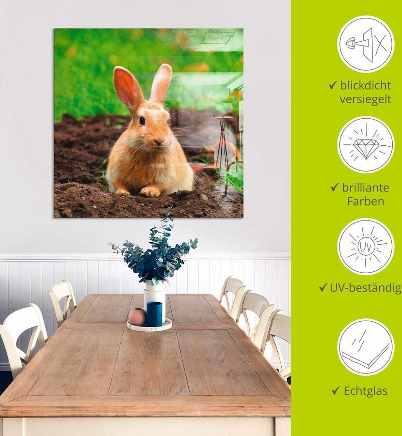 Artland Print op glas Gelukkig dwergkonijntje - Foto 4