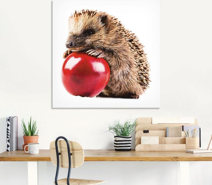Artland Print op glas Gelukkige egel in verschillende maten - Foto 5
