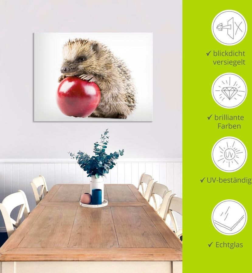 Artland Print op glas Gelukkige egel in verschillende maten - Foto 4