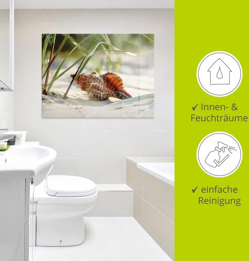 Artland Print op glas Grote schelp op het strand - Foto 3