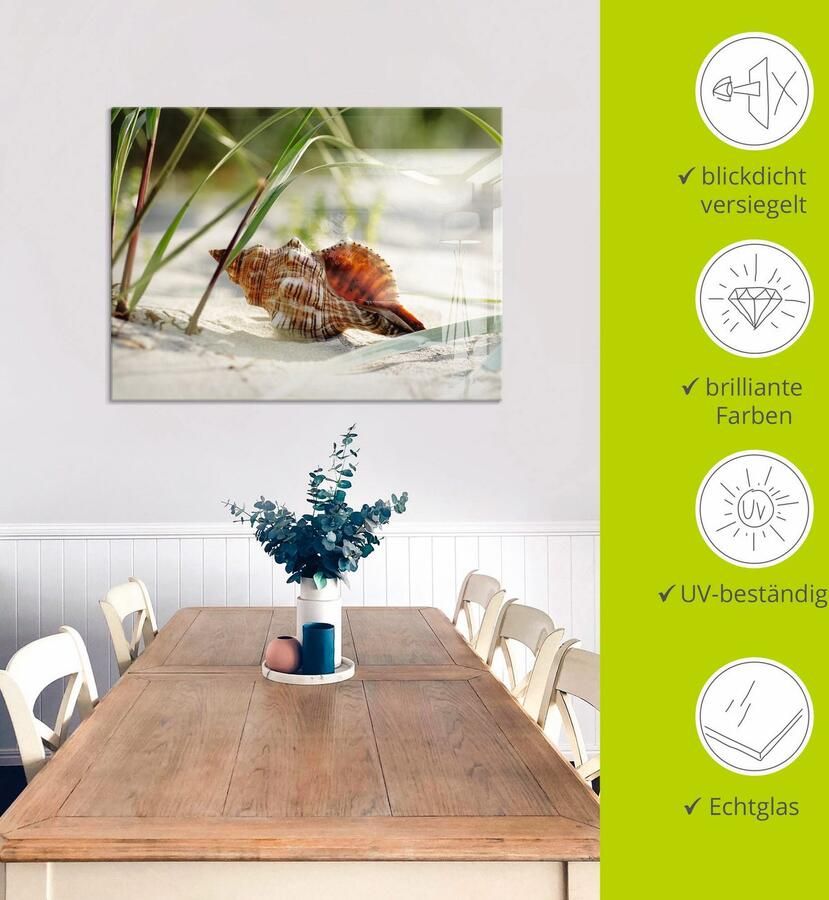 Artland Print op glas Grote schelp op het strand - Foto 4