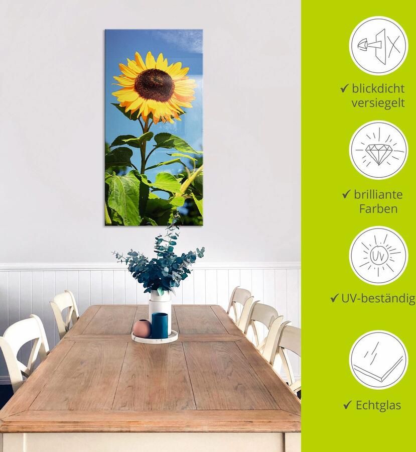 Artland Print op glas Grote zonnebloem in verschillende maten - Foto 4