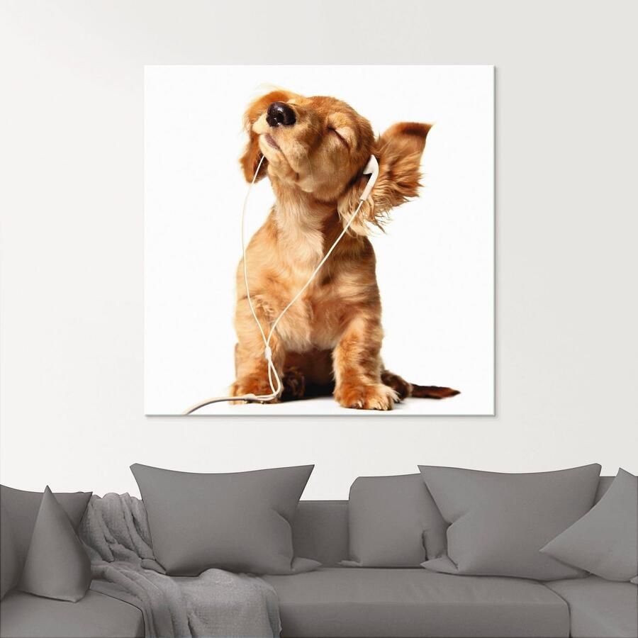 Artland Print op glas Jonge hond die naar muziek door hoofdtelefoon luistert - Foto 2