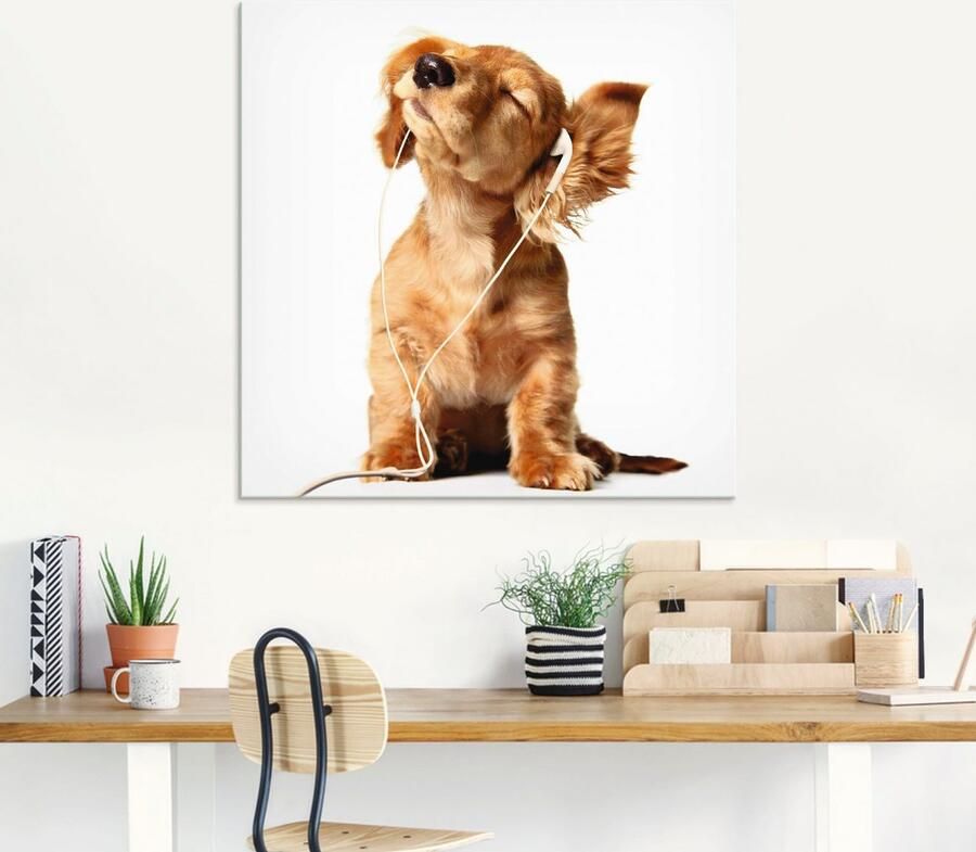 Artland Print op glas Jonge hond die naar muziek door hoofdtelefoon luistert - Foto 5