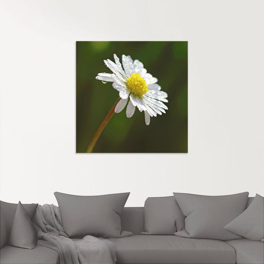 Artland Print op glas Madeliefje in verschillende maten - Foto 2