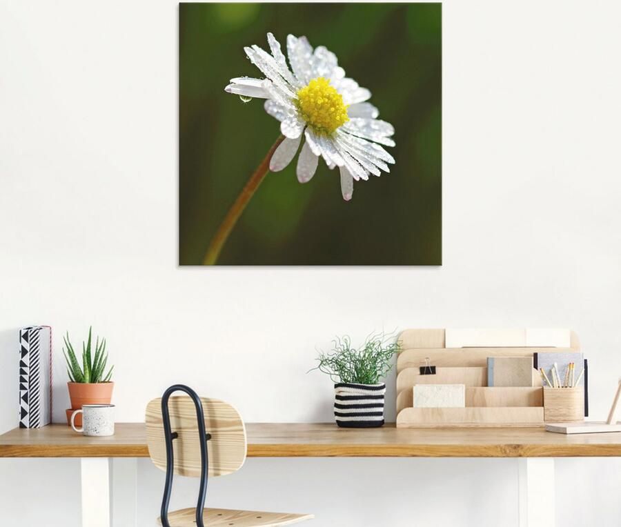 Artland Print op glas Madeliefje in verschillende maten - Foto 6