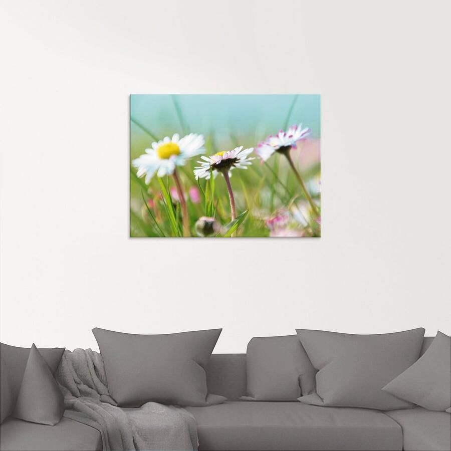 Artland Print op glas Madeliefje romantiek in verschillende maten - Foto 2
