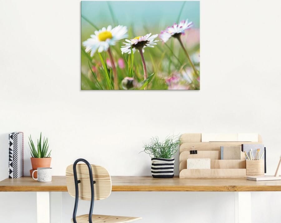 Artland Print op glas Madeliefje romantiek in verschillende maten - Foto 6