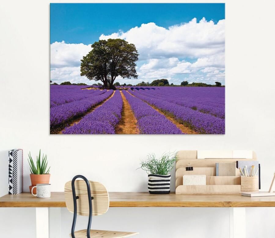 Artland Print op glas Mooi lavendelveld in de zomer - Foto 5