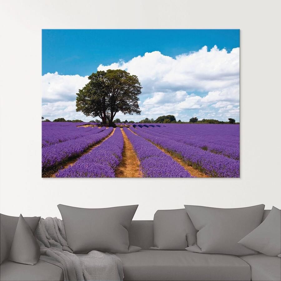 Artland Print op glas Mooi lavendelveld in de zomer - Foto 2