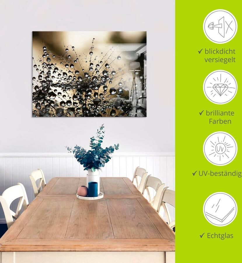 Artland Print op glas Natte paardenbloem in verschillende maten - Foto 3