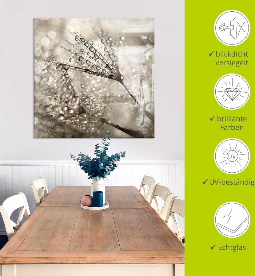 Artland Print op glas Paardebloem dauwdruppels I - Foto 5